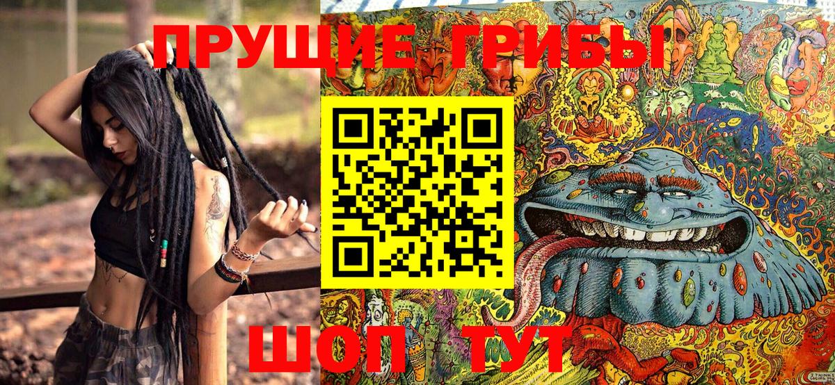 Галлюциногенные грибы Magic Shrooms  Галлюциногенные грибы Magic Shrooms  Назарово  Вход с VPN 